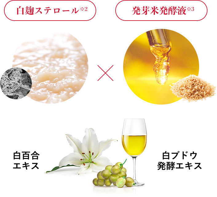 白麹ステロール × 発芽米発酵液