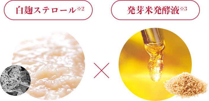 白麹ステロール × 発芽米発酵液