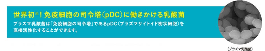 「免疫の司令塔（pDC）を直接活性化する」乳酸菌はプラズマ乳酸菌です。