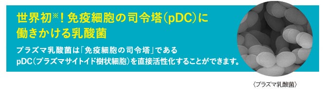 「免疫の司令塔（pDC）を直接活性化する」乳酸菌はプラズマ乳酸菌です。