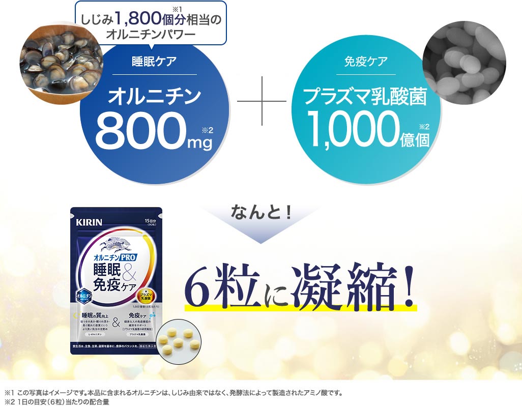 オルニチン、プラズマ乳酸菌 2つの機能性関与成分が6粒に凝縮