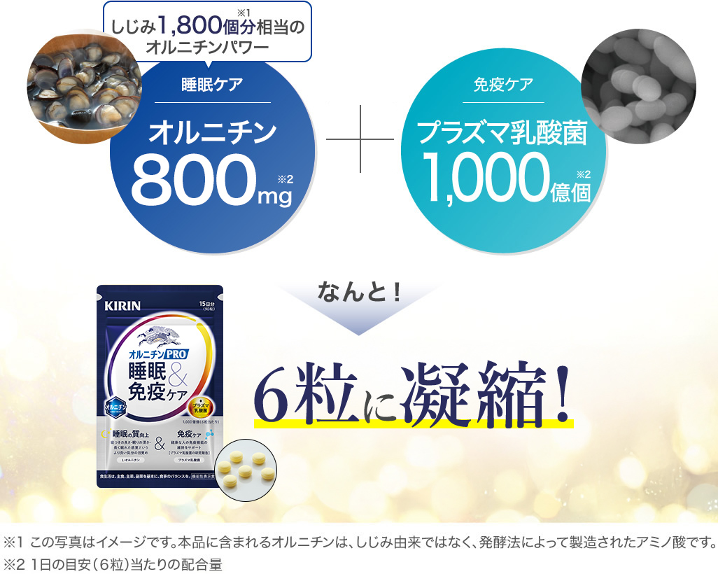 オルニチン、プラズマ乳酸菌 2つの機能性関与成分が6粒に凝縮