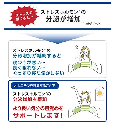 ストレスを受けると・・・ストレスホルモンの分泌が増加