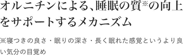 オルニチンによる、睡眠の質※の向上をサポートするメカニズム ※寝つきの良さ・眠りの深さ・長く眠れた感覚というより良い気分の目覚め