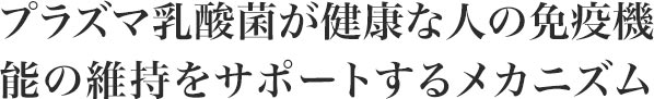 プラズマ乳酸菌が健康な人の免疫機能の維持をサポートするメカニズム