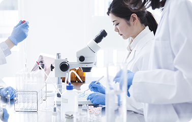 研究のイメージ