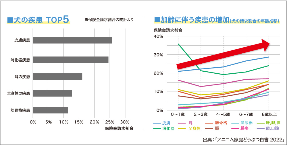 犬の疾患TOP5 加齢に伴う疾患の増加