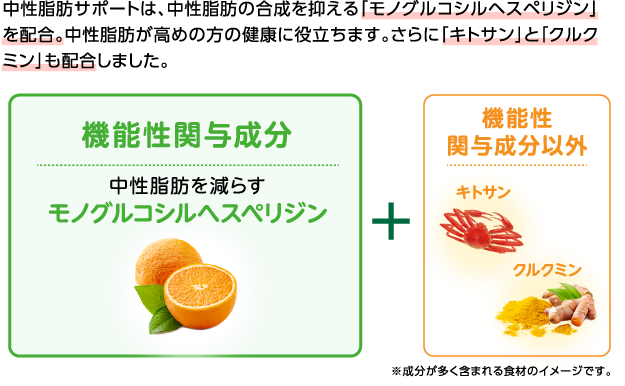 中性脂肪減少成分 機能性関与成分以外のサポート成分